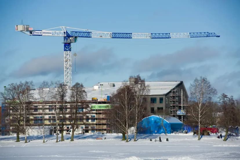 crane in snow